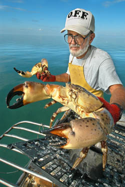Stone crab claws come fresh from Keys waters.